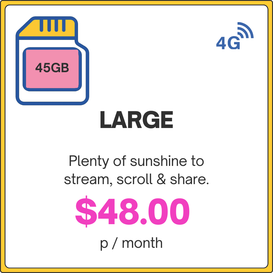 45GB data plan advertisement with 4G symbol, price, and description on a white background.